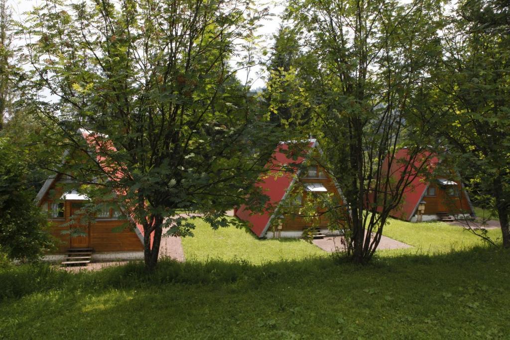 Hôtel Perelka Natura Tour à Cisna Extérieur photo